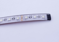 Strisce impermeabili flessibili della luce di RGBW LED per le barche/yacht 5M/Rolls
