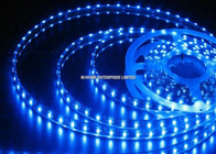 3528 multi lampade fluorescenti di colore LED di SMD/lampade fluorescenti a pile del LED