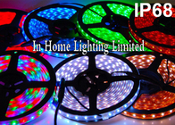 lampade fluorescenti di 3528SMD RGB LED per illuminazione della scala, doppia striscia di Natale del PWB 24V