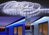 striscia impermeabile Cuttable della piscina RGB LED delle lampade fluorescenti bianche di 12V