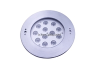 Riscaldi la lampada subacquea fissata al muro bianca le luci/12Volt dello stagno di 30W il LED Inground
