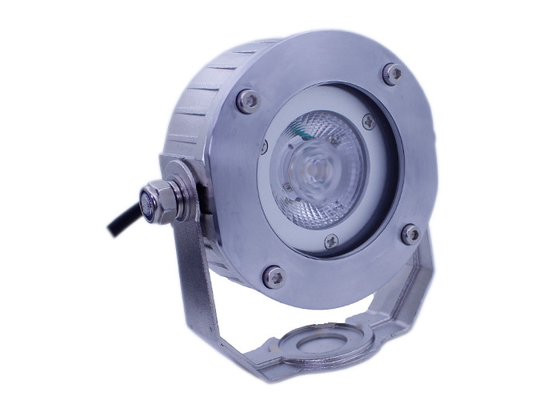 316 ss IP68 impermeabilizzano la lampada di proiezione subacquea della PANNOCCHIA la luce/10W LED del LED