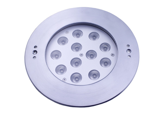 il colore di 12V 24V IP68 che cambia la luce subacquea del LED/ha messo la luce della fontana