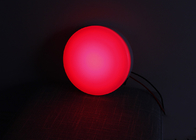 Luce di cupola montata di Marine Accent Light 12VDC LED con rosso del commutatore/bianco di superficie